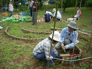 Frilly bamboo path at Lemon Community garden 016