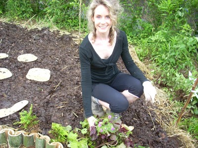 A bunch of found herbs to plant in the No Dig lasange garden