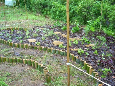 A pathway waiting to be filled with bamboo chips AND newly planted meadow